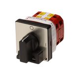 Cam switch lockable with cover plate